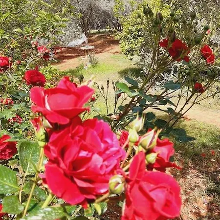 Ferienhaus Gizli Bir Cennet Antalya