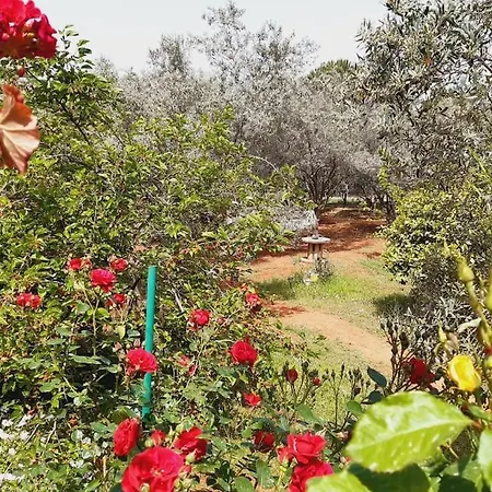 Hébergement de vacances Gizli Bir Cennet *
