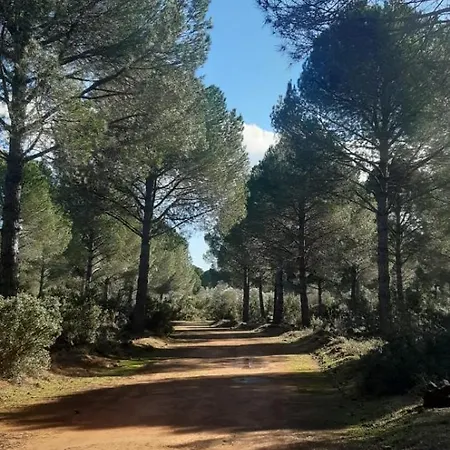 Gizli Bir Cennet Ferienhaus *