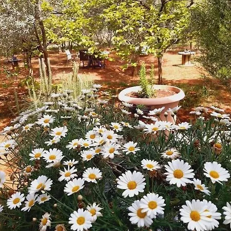 Semesterbostad Gizli Bir Cennet Antalya