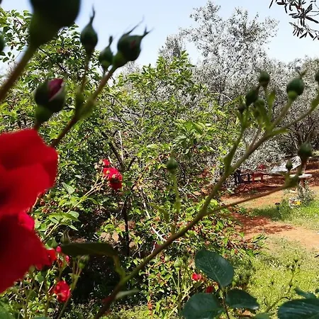Holiday home Gizli Bir Cennet