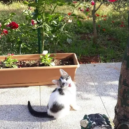 Сasa de vacaciones Gizli Bir Cennet Antalya