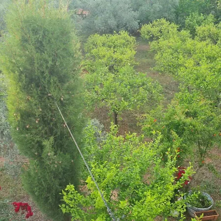Holiday home Gizli Bir Cennet